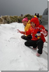 2013-01-27 合歡山-雪之旅 296