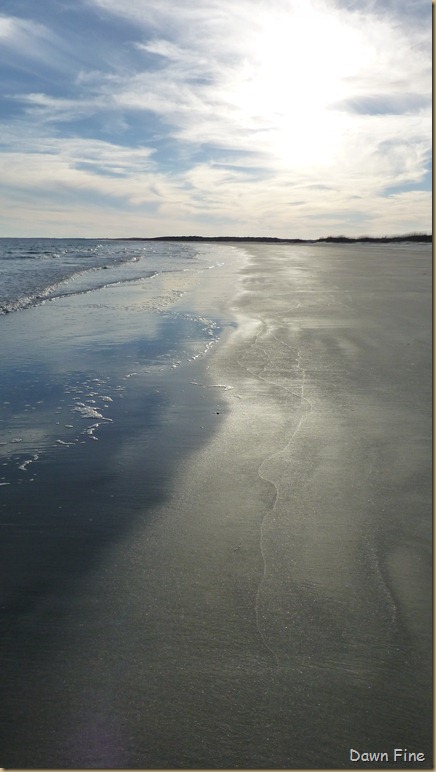 North Beach_111