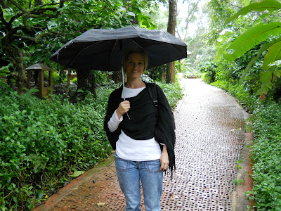 Rain rain go away