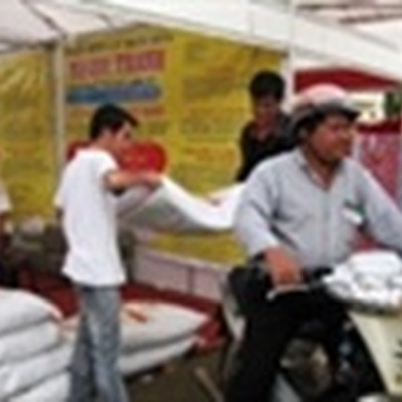 Gian nan quản lý sản xuất, kinh doanh phân bón