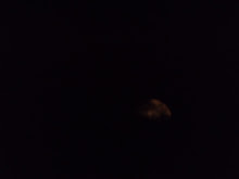 DSCF2253