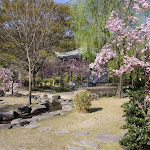 IMG_8460.JPG