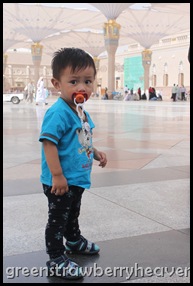 IMG_8395 IMG_8395