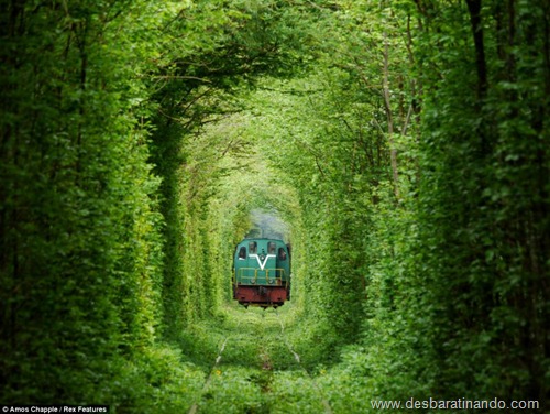 tunel do amor ucrania desbaratinando  (6)