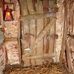 1461-7.JPG