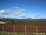 Tasmania Day 1 - IMG_1261.JPG