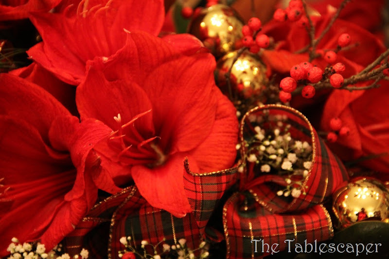 Christmas 2011 111