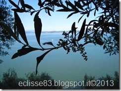 IMG_0227 IMG_0227