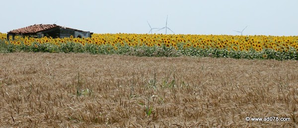 106.jpg