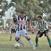 CSC_0343.jpg