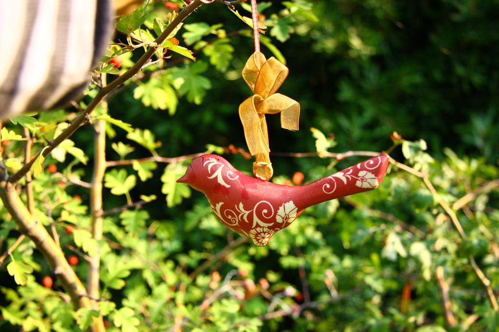 [L%2527uccellino%2520Flo-13%255B15%255D.jpg]