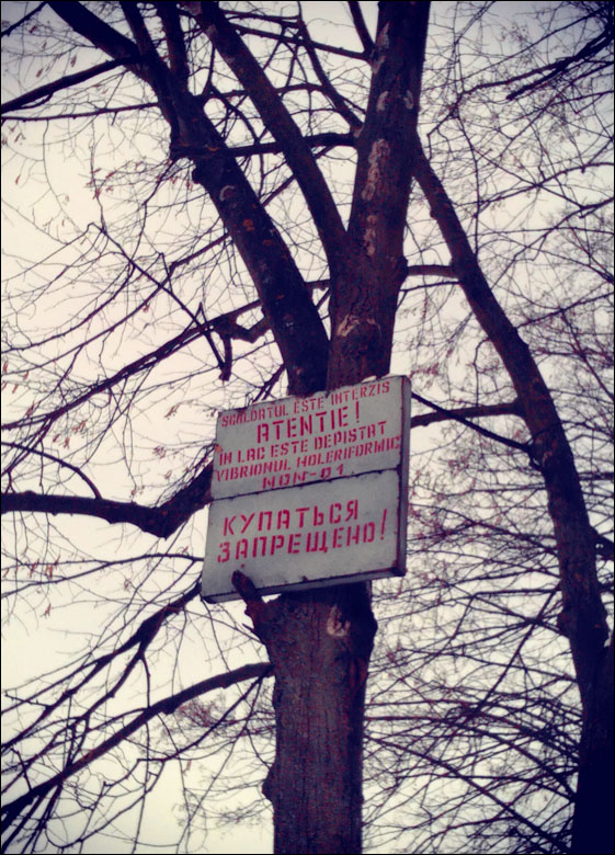 IMAG0195.jpg