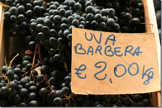 uva-barbera-vinho-e-delicias