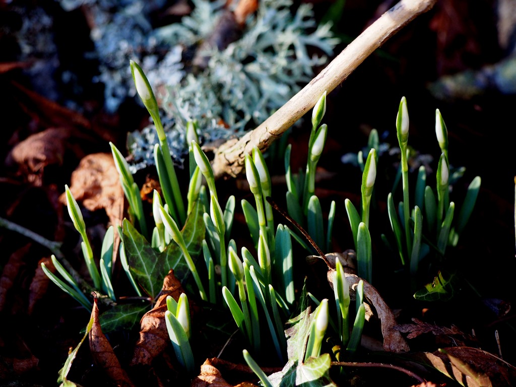 [11%2520Feb%25207-001%255B3%255D.jpg]