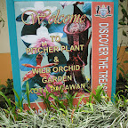 Orchid and pitcher plant garden