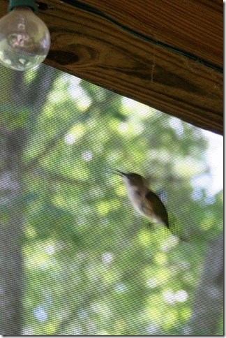IMG_7862 IMG_7862