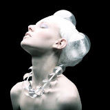 Plastic Fantastic by Tomaas