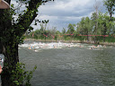IMG_4488.JPG