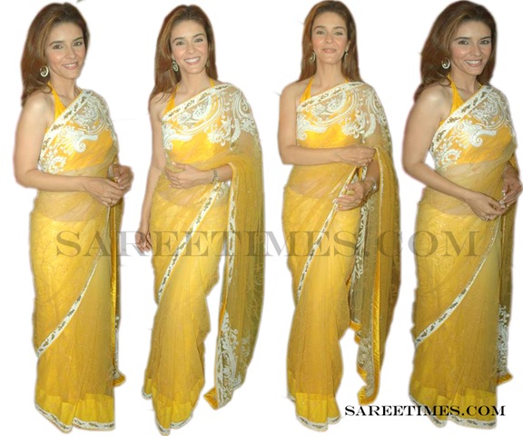 [Raageshwari_Shimmer_Saree%255B7%255D.jpg]