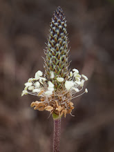 P6055761