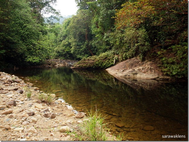 refreshing_river_sarawak