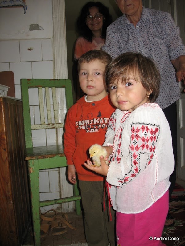 IMG_0014.jpg