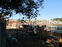 12-5-11018.jpg