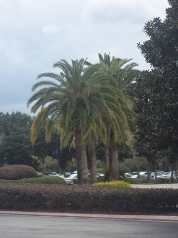 [1625513_10153775944590296_1790810647_n%255B3%255D.jpg]