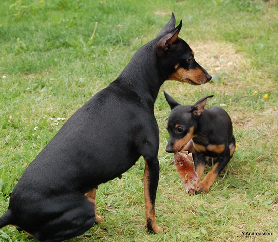 [DSC_8283%255B3%255D.jpg]