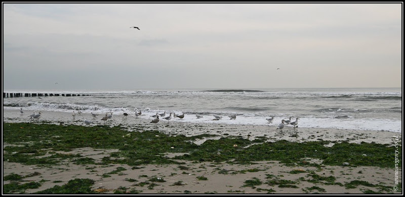 Вид на Америку. Rockaway   Ирландская ривьера (foto america  фото путешествия моря и океаны new york  0101 NY%25252C%252520Rockaway 9)