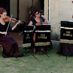 DSC01375.JPG
