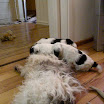 DSCN0250.JPG