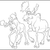 alces.jpg