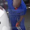 untitled shoot-422.jpg