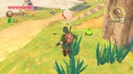 Ao invés de salvar Zelda, Link fica caçando insetos.. tsc, tsc, tsc... Ao invés de salvar Zelda, Link fica caçando insetos.. tsc, tsc, tsc...