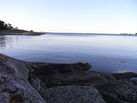 RIMG0240.JPG Photo