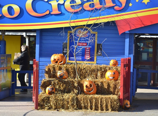 supra skytop pumpkin