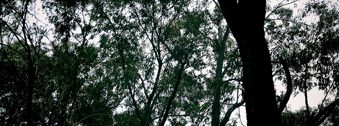 outside 1