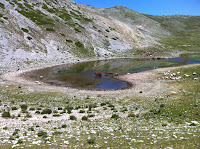 IMG_1535.JPG