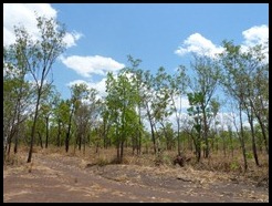 Australia, Darwin to Katherine, 7 October 2012 (1)