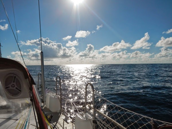 DSCN3595.JPG DSCN3595