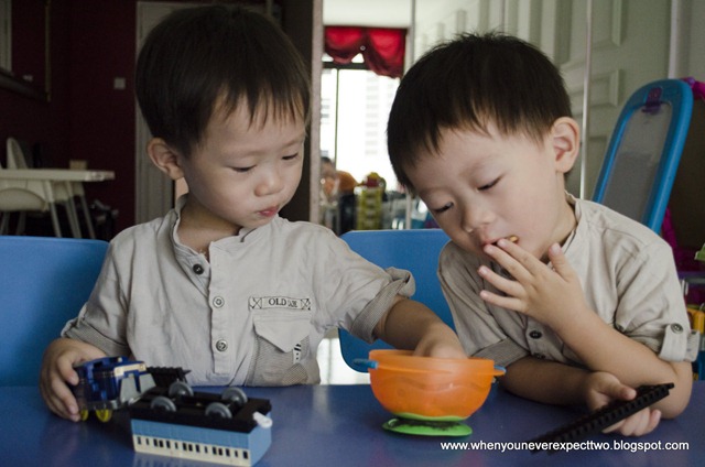 20110815_brother feeding (2 of 5) 20110815_brother feeding (2 of 5)