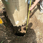 20120911_121852.jpg