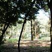 PA030013.JPG