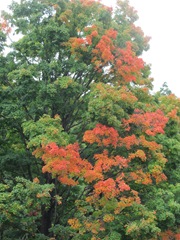 Assumption college weekend foliage 9.29.12