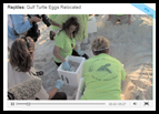 Videos to Use in the Classroom - Free Streaming Videos to Use in the Classroom - Free Streaming