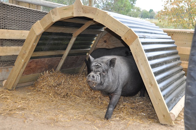 [DSC_0286%255B7%255D.jpg]