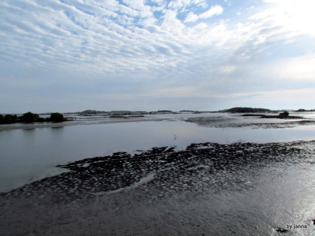 [IMG_1893%255B4%255D.jpg]