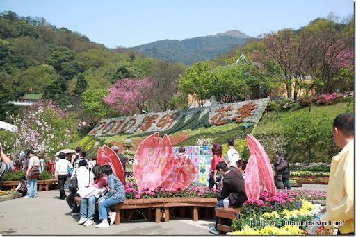 2010陽明山花季-廣場 2010陽明山花季-廣場