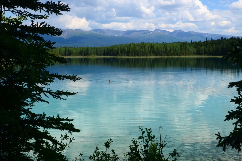 [Cassiar-N--Day-8_9974.jpg]